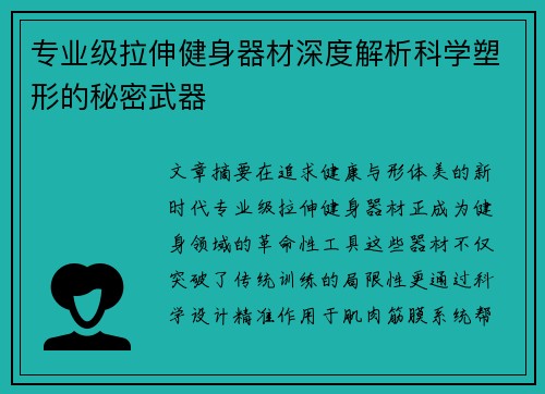 专业级拉伸健身器材深度解析科学塑形的秘密武器